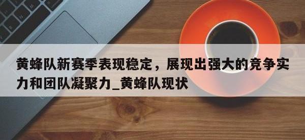 九游娱乐-黄蜂队新赛季表现稳定，展现出强大的竞争实力和团队凝聚力_黄蜂队现状