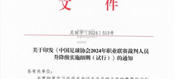 九游娱乐-中国足协公布最新裁判名单，备受关注