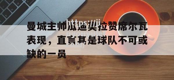 九游娱乐-曼城主帅瓜迪奥拉赞席尔瓦表现，直言其是球队不可或缺的一员_